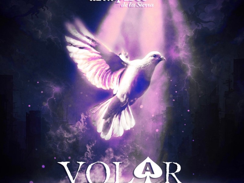 REYNALDOS DE LA SIERRA REGRESAN CON SU NUEVO Y EMOCIONANTE SENCILLO&nbsp;“VOLAR”.